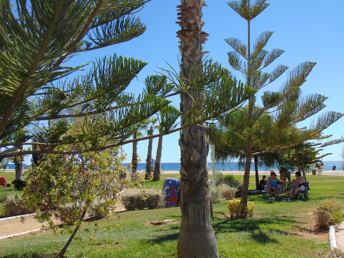 Apartamentos Varios Con 2 Dorm En Marina Dor , La Playa De Amplaries 47 , Vista Lateral Al Mar Oropesa del Mar Dış mekan fotoğraf