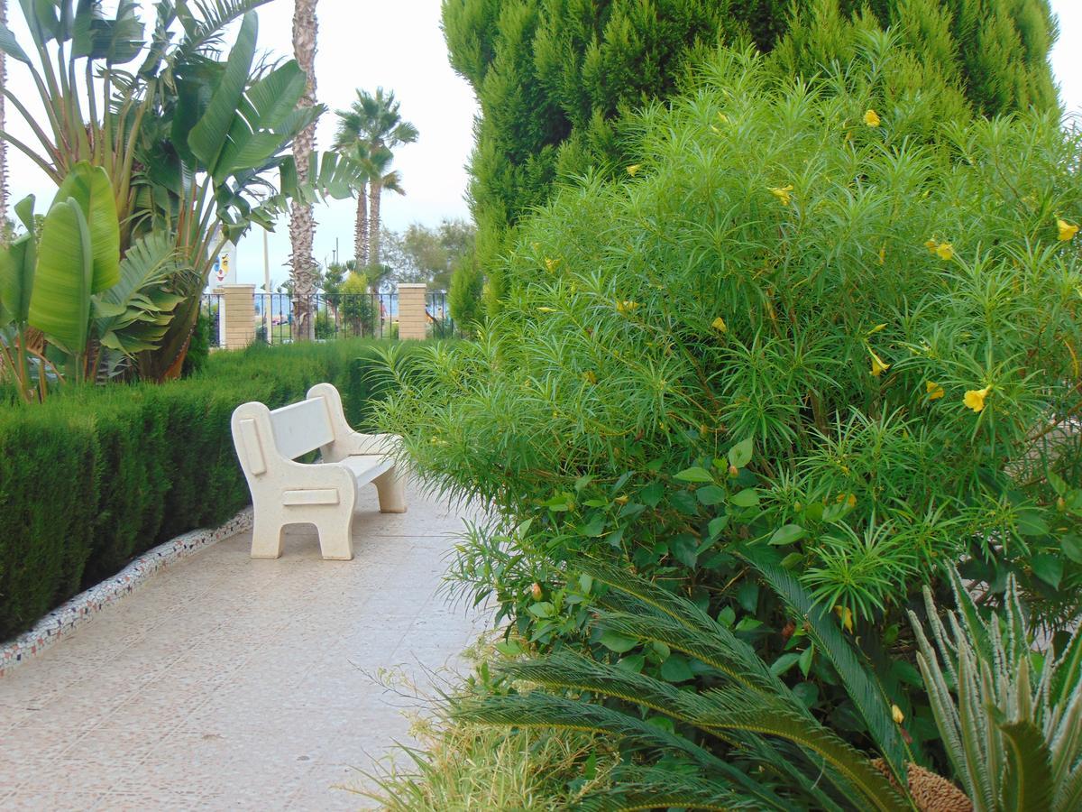 Apartamentos Varios Con 2 Dorm En Marina Dor , La Playa De Amplaries 47 , Vista Lateral Al Mar Oropesa del Mar Dış mekan fotoğraf